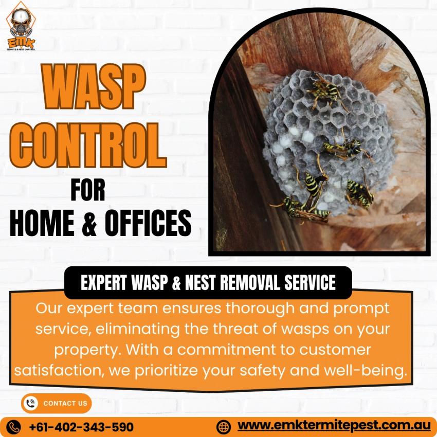 Wasp Infestation Risk Factors You Should Never Ignore