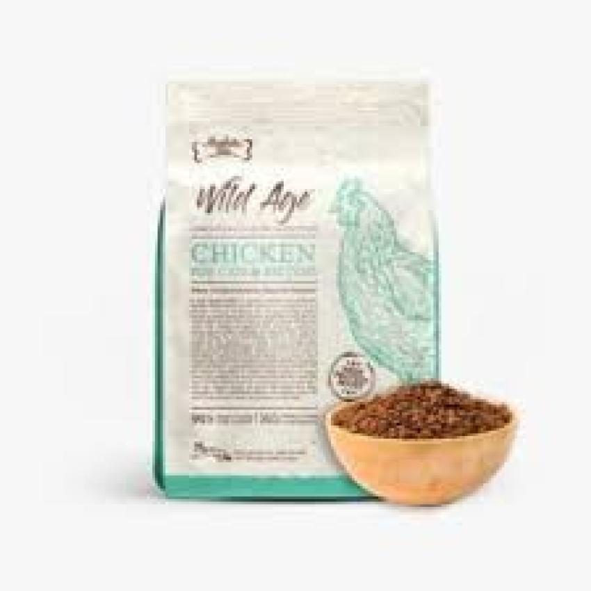 Cat Food Storage Mistakes Singapore Cat Owners Often Make