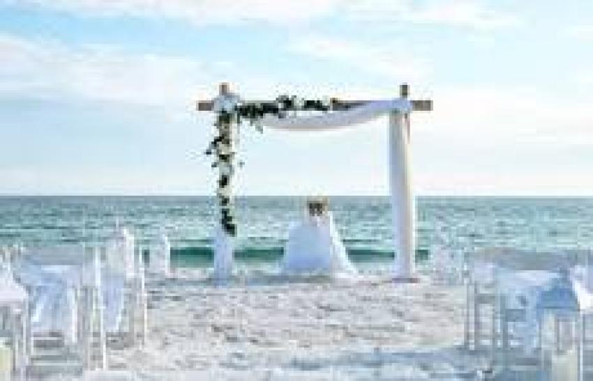 Sand in Your Toes, Love in the Air: Why Beasley’s Floral and Weddings is Your Florida Secret Weapon