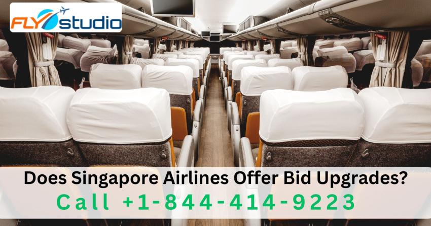 Does Singapore Airlines Offer Bid Upgrades?