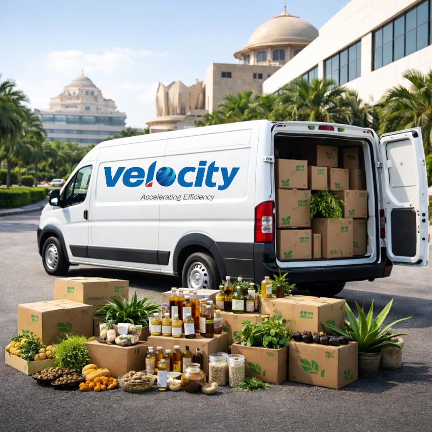 Velocity Express: Reliable E-commerce Logistics and Delivery Services