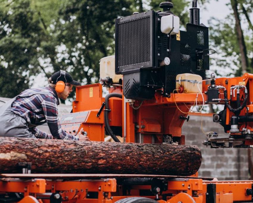 5 Signs You Need Professional Stump Grinding Services