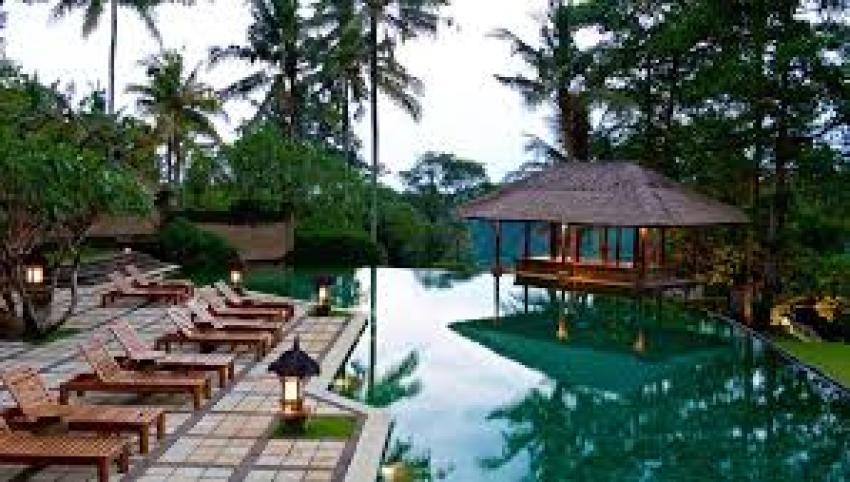 How Hotel Reviews Influence Booking Decisions