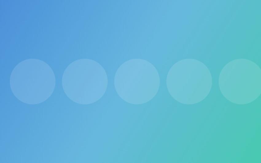 Pet Boarding vs Pet Sitting: Which Is Best for Your Animal?