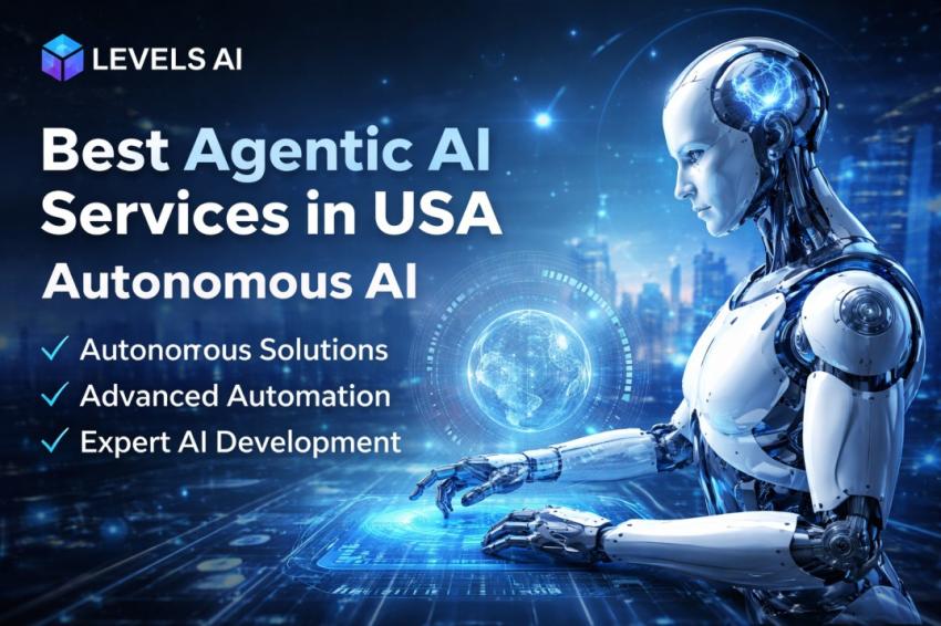 AI Chatbots and Virtual Assistant Services in the USA