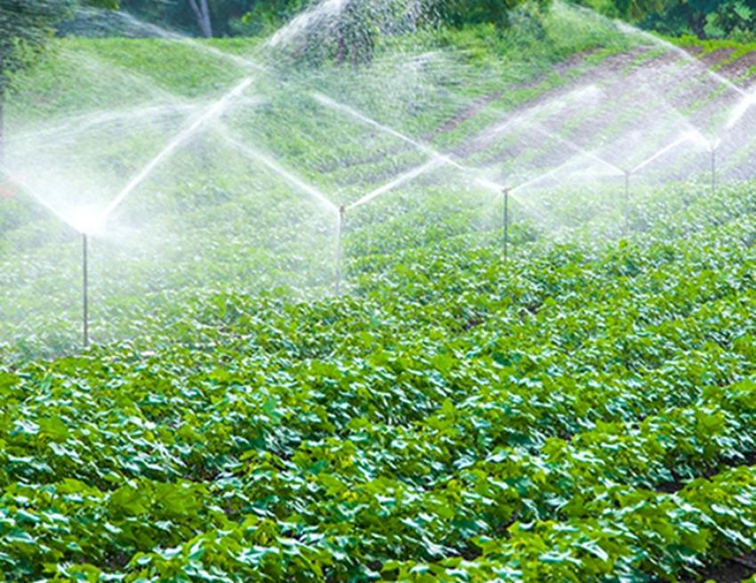Remote Farm Management Using Smart Irrigation Systems