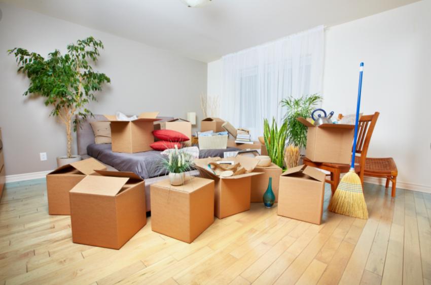Waste Removal Tips for Home Renovation Projects Today