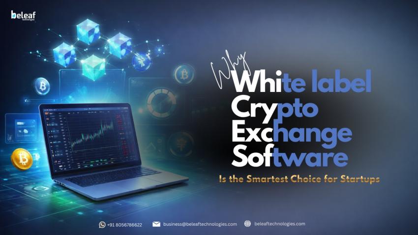 Why White Label Crypto Exchange Software Is the Smartest Choice for Startups
