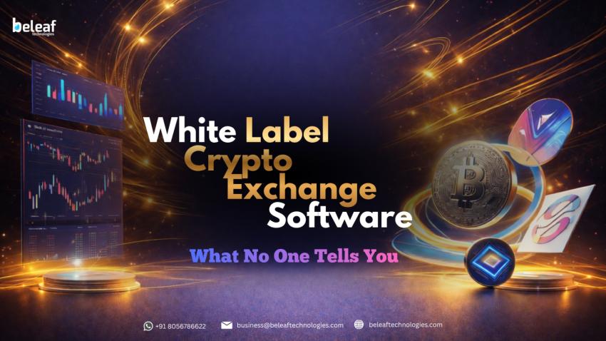 White Label Crypto Exchange Software: What No One Tells You