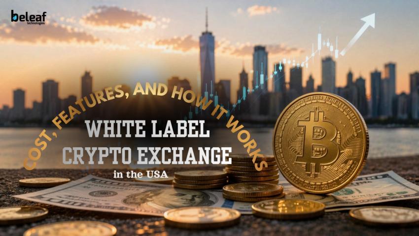 White Label Crypto Exchange Development in the USA: Cost, Features, and How It Works