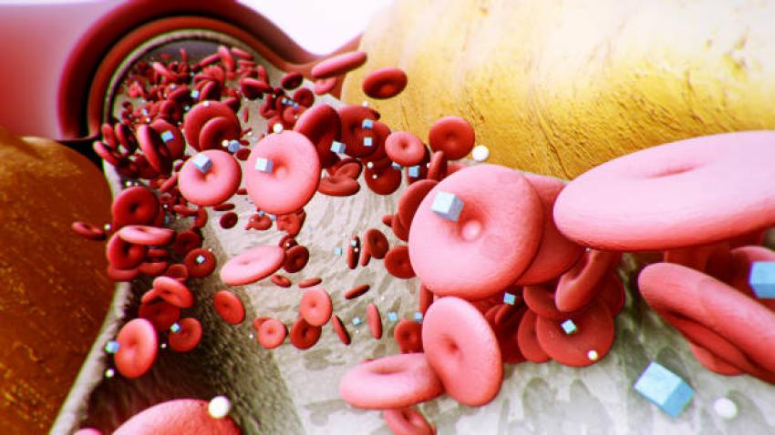 What Documents Are Needed to Pass CARB Testing Fast?