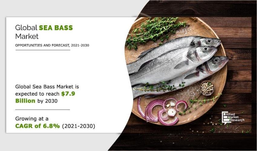 Sea Bass Market Forecast 2021-2030 : Analysing Major Trends, Opportunities, and Growth Drivers