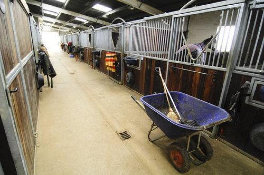 What to Expect from Horse Motels Utah before Booking Your Stay