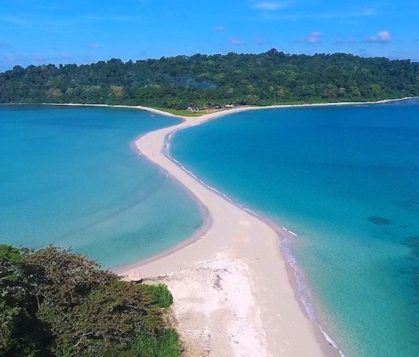 Exploring the Tropical Wonders: Why You Need a Dedicated Andaman Travel Blog