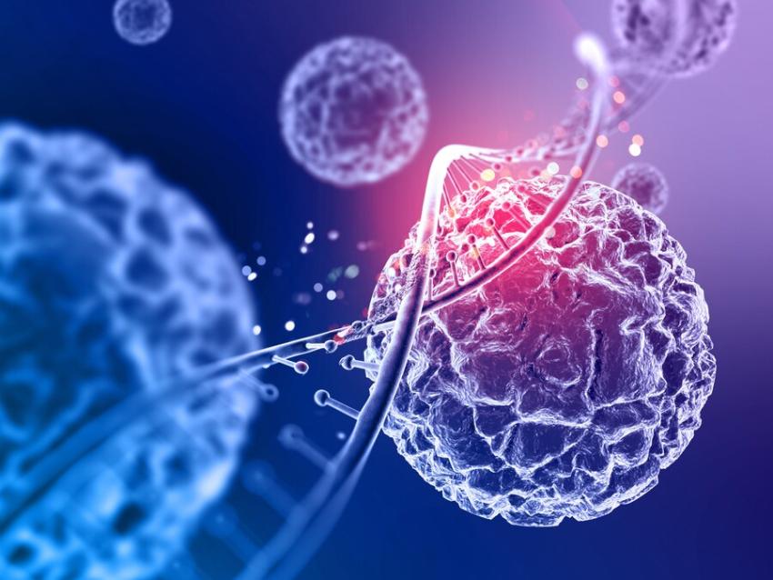 Why Amniotic Membrane Allografts Are Transforming Healing