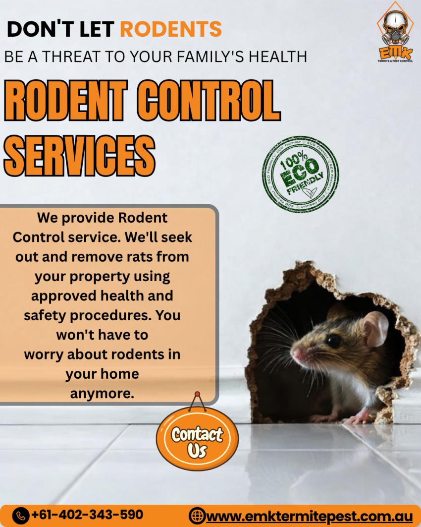 Why DIY Rodent Control Often Fails in Sydney