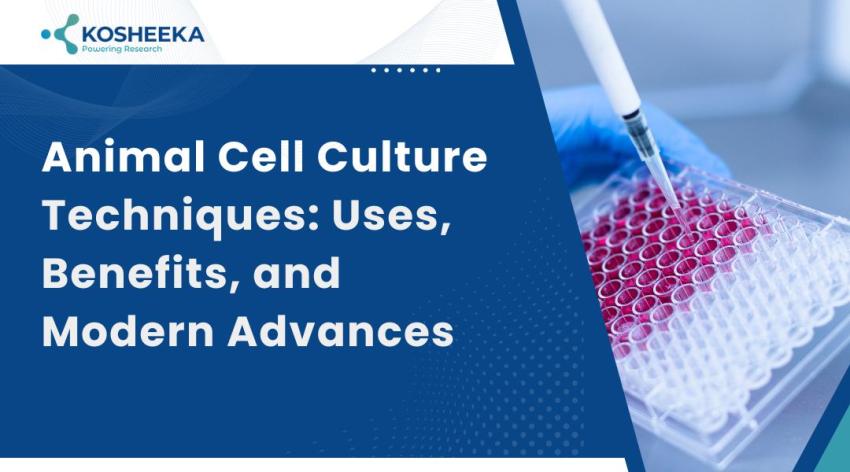 Animal Cell Culture Techniques: Uses, Benefits, and Modern Advances