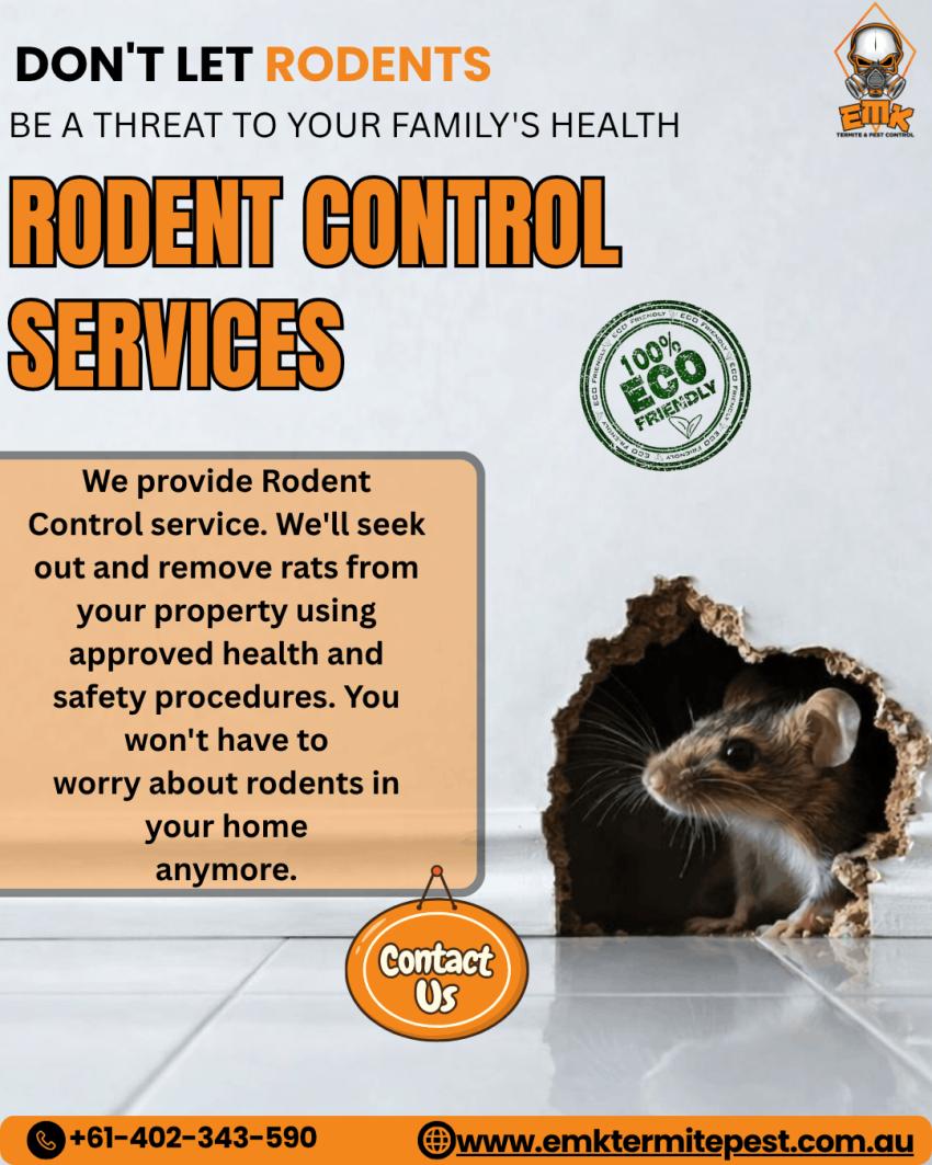 What Attracts Rats and Mice to Residential Properties?