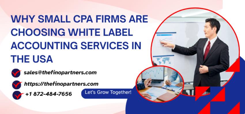 Why Small CPA Firms Are Choosing White Label Accounting Services in the USA