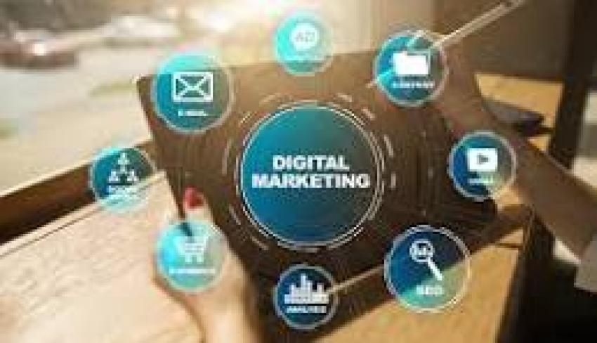 Driving business success with expert social media management