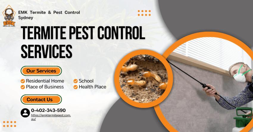10 Early Warning Signs of Termites in Sydney Homes