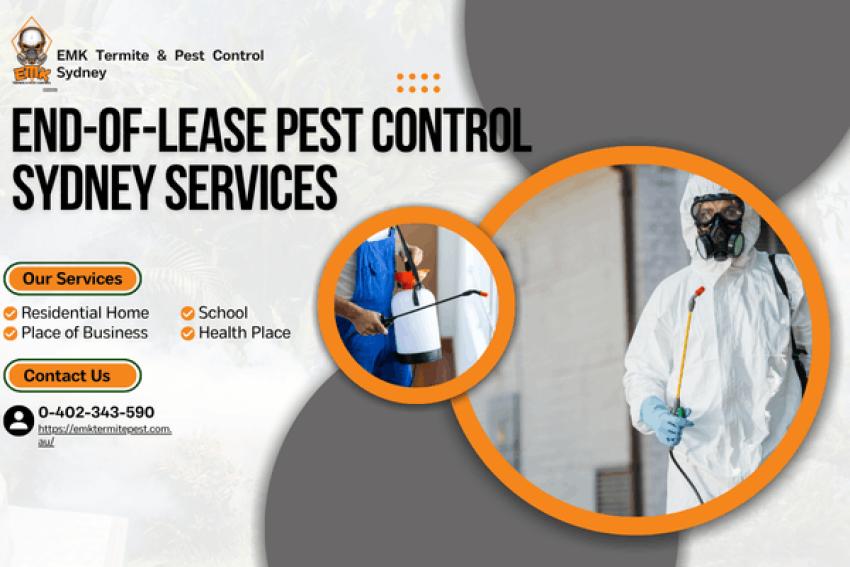 End of Lease Flea Treatment in Sydney Homes With Pets
