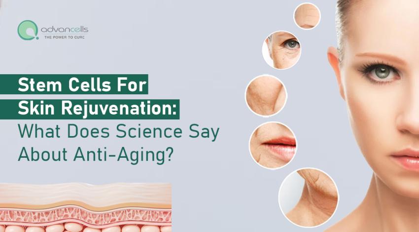 Stem Cells for Skin Rejuvenation: What Does Science Say About Anti-Aging?