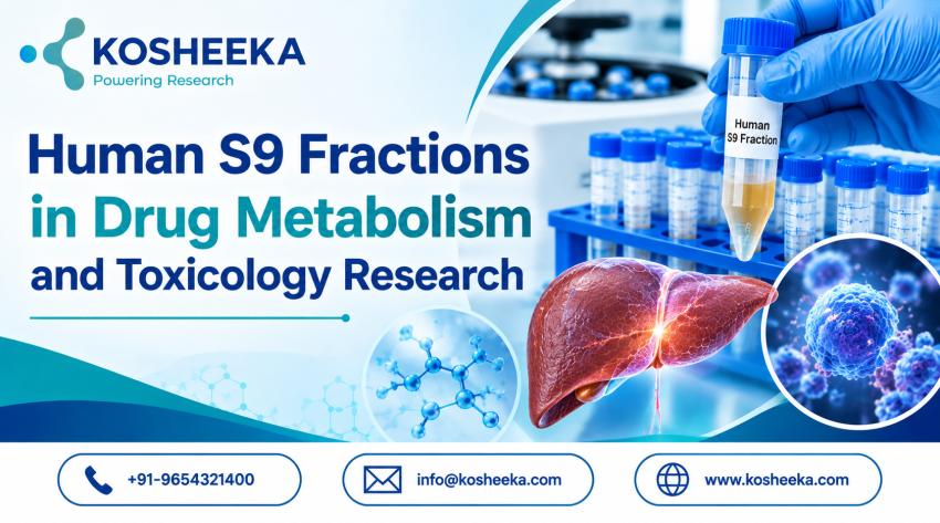 Human S9 Fractions in Drug Metabolism and Toxicology Research