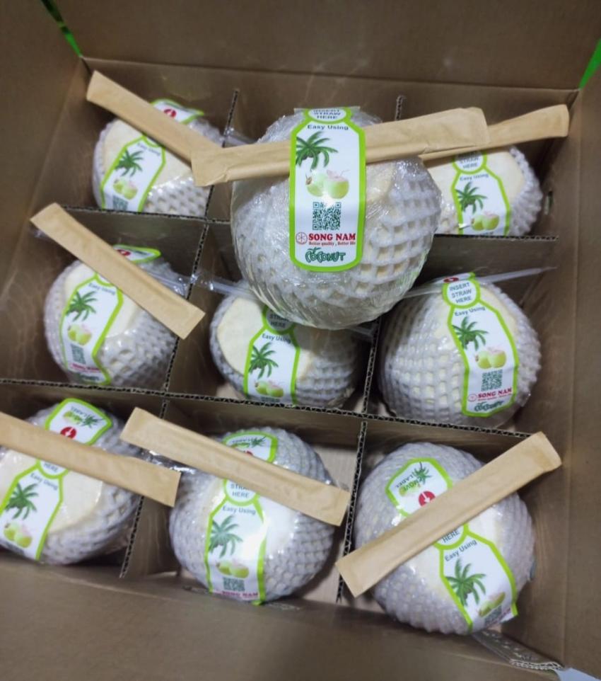 Why Choose Fresh Export Coconuts from SONG NAM ITD?