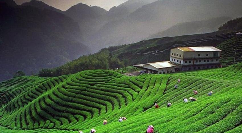 What is the best tour plan for Uttarakhand?