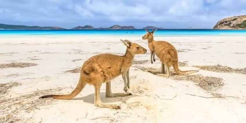 What's the Best Place to Live in the UK If You're Moving from Australia