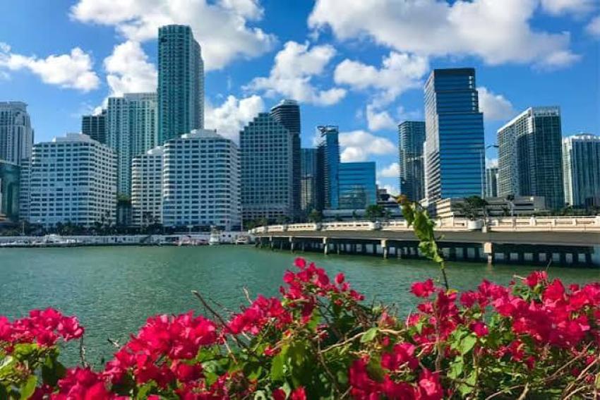 How Many Days Do You Need to Visit Miami for the First Time